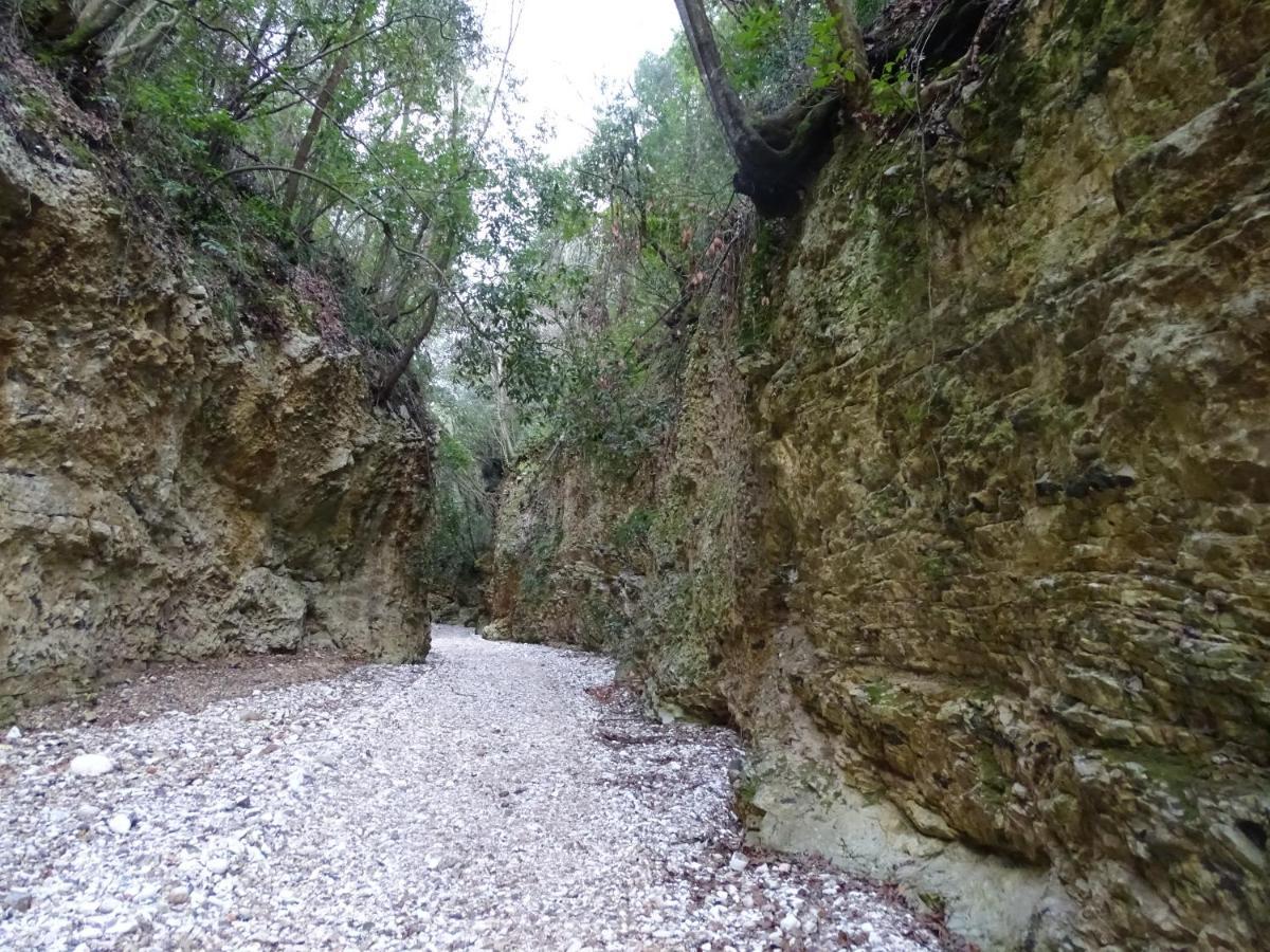 Villa Biancofiore San Giovanni Rotondo Buitenkant foto