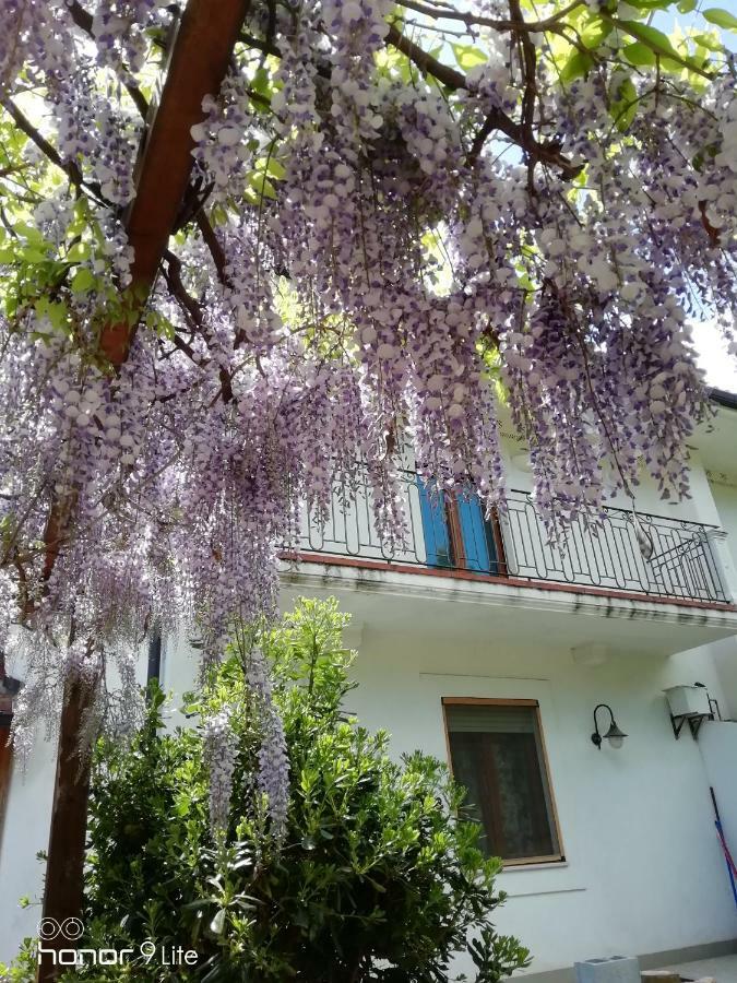 Villa Biancofiore San Giovanni Rotondo Buitenkant foto